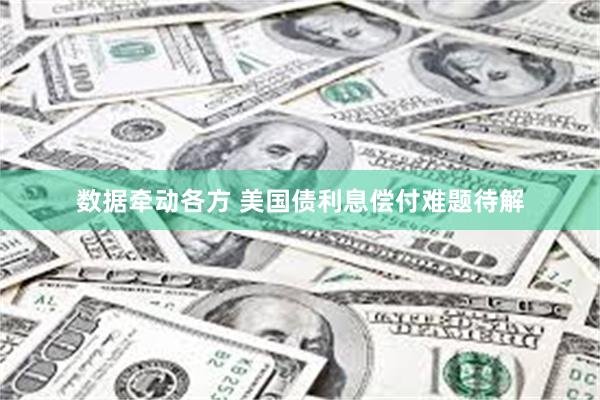 数据牵动各方 美国债利息偿付难题待解