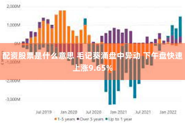 配资股票是什么意思 毛记葵涌盘中异动 下午盘快速上涨9.65%