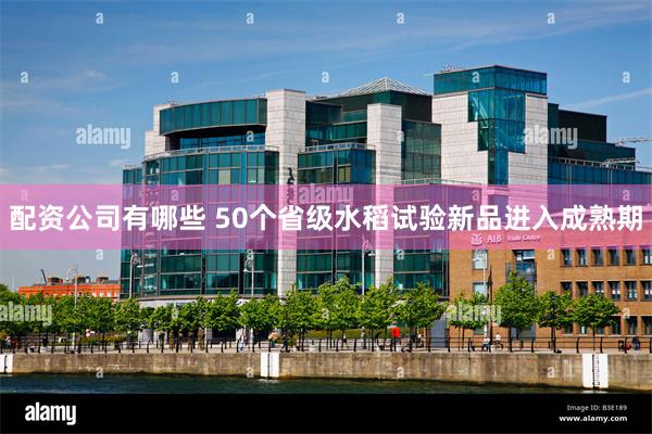 配资公司有哪些 50个省级水稻试验新品进入成熟期