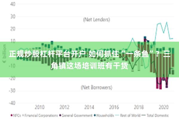 正规炒股杠杆平台开户 如何抓住“一条鱼”？三角镇这场培训班有干货