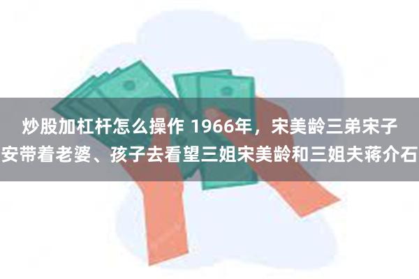 炒股加杠杆怎么操作 1966年，宋美龄三弟宋子安带着老婆、孩子去看望三姐宋美龄和三姐夫蒋介石