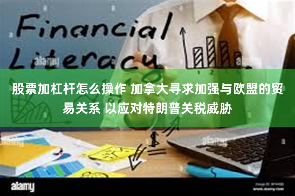 股票加杠杆怎么操作 加拿大寻求加强与欧盟的贸易关系 以应对特朗普关税威胁